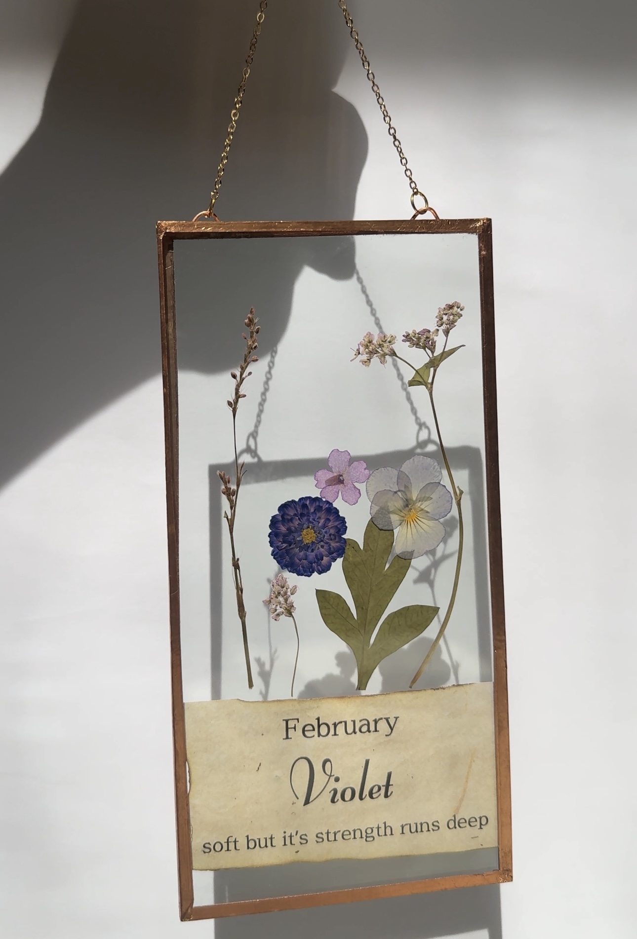 February Birth-Flower