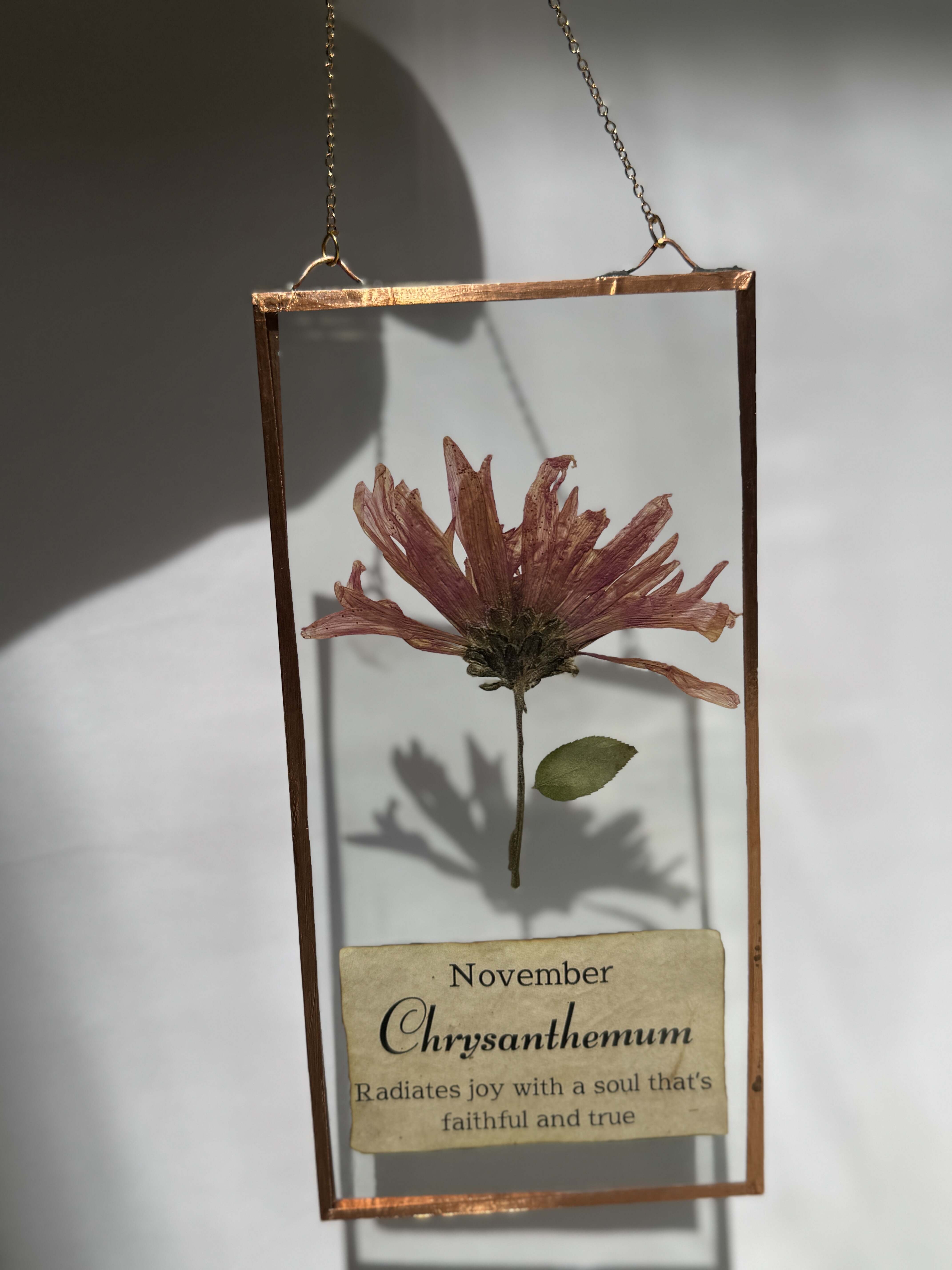 November Birth Flower