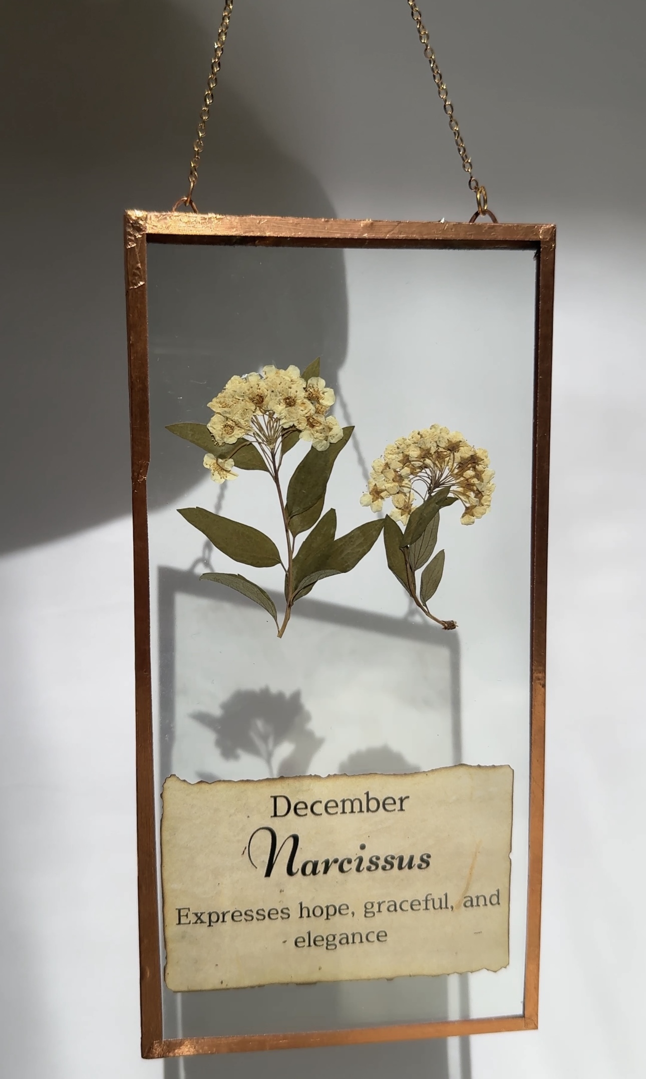 December Birth flower