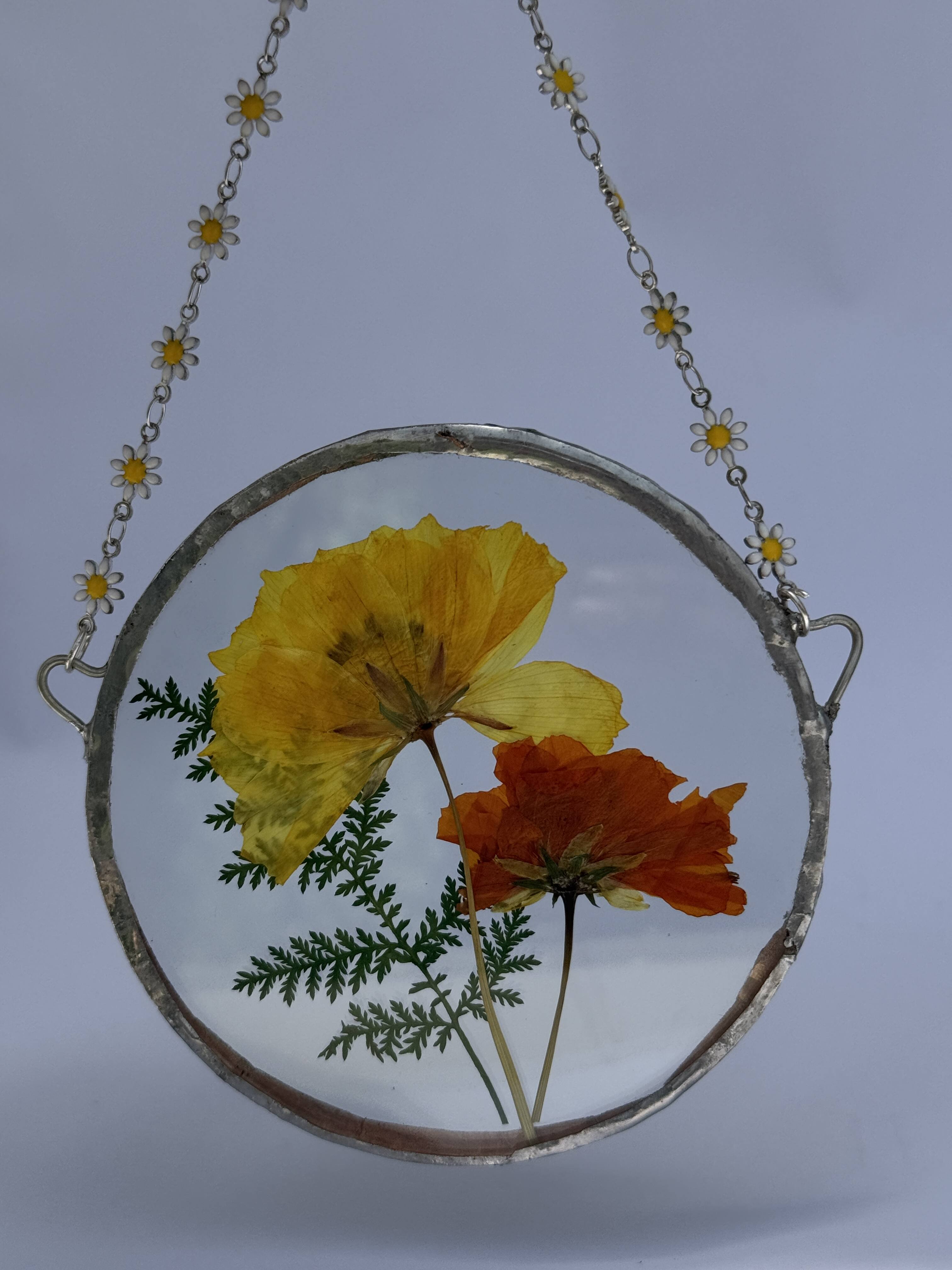 Pressed Cosmos Ornament