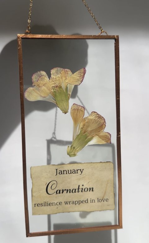 January Birth-Flower