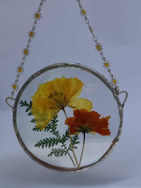 Pressed Cosmos Ornament